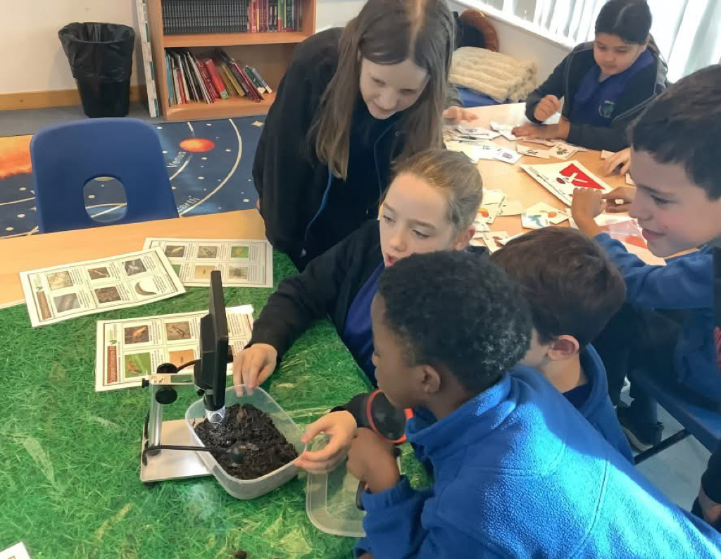 Year 5 - Organic garden